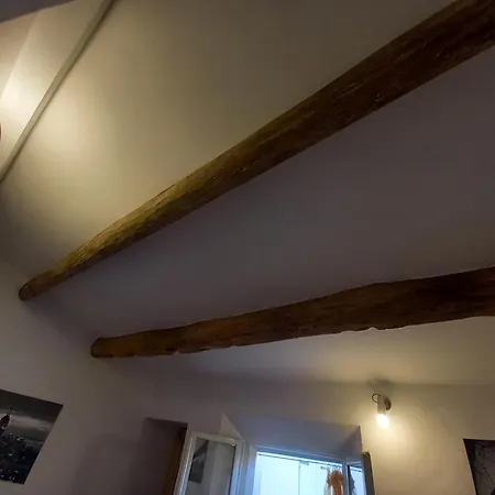 - Solo Locazioni Oltre 29 Giorni Faenza